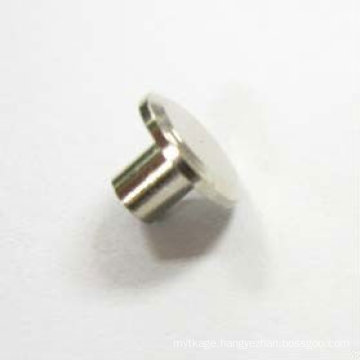 Stainless Steel Rivet FOr Auto Chassis